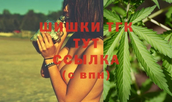 ПСИЛОЦИБИНОВЫЕ ГРИБЫ Верея