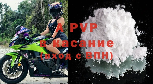 ПСИЛОЦИБИНОВЫЕ ГРИБЫ Верея