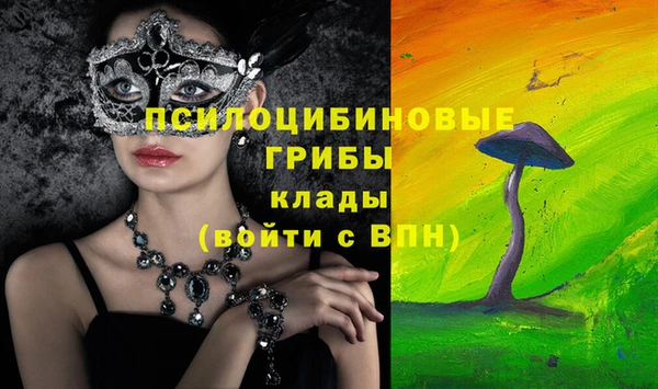 ECSTASY Володарск